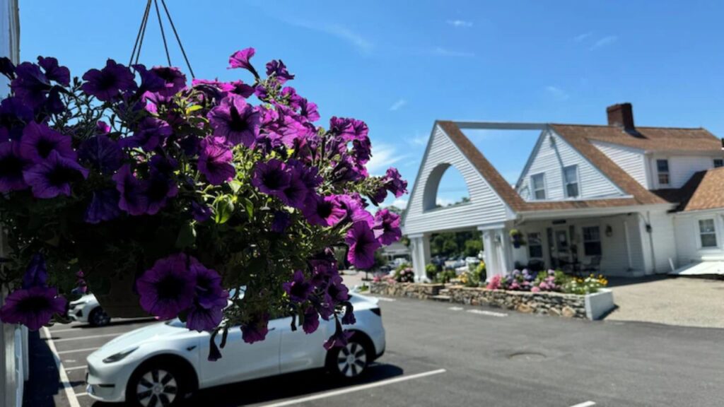 Year-Round Adventures Near Your Blue Spruce Accommodations