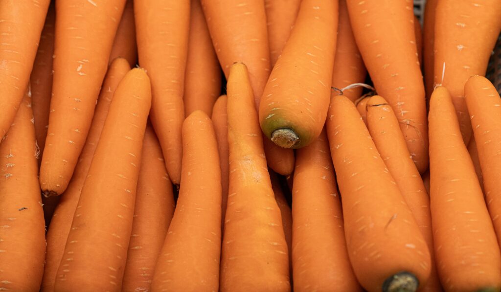What’s Actually In a Carrot? Let’s Break it Down.