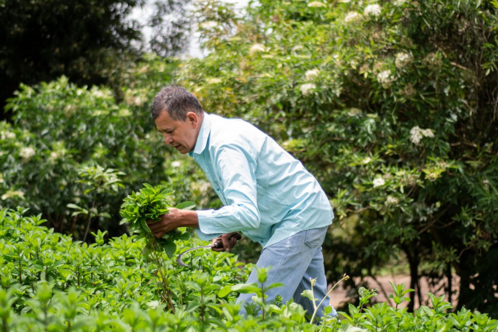 The Everyday Rewards of Growing Your Own
