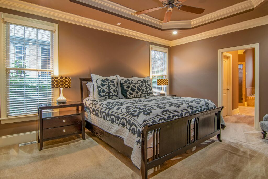 Exploring Metal Canopy Bed Designs