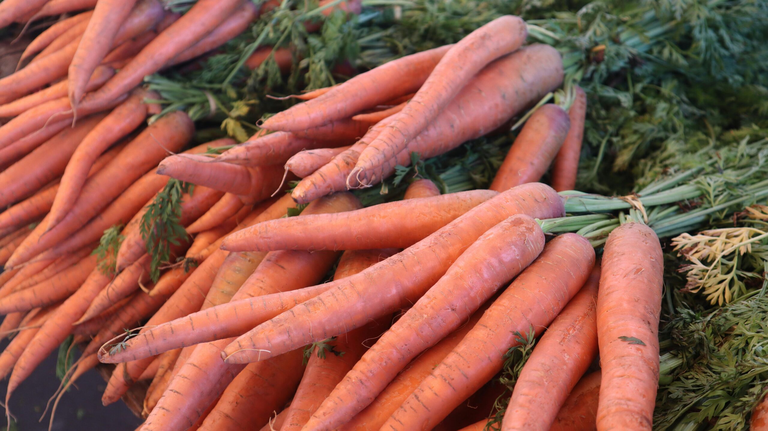 The Humble Carrot: Your Everyday Superfood for Health