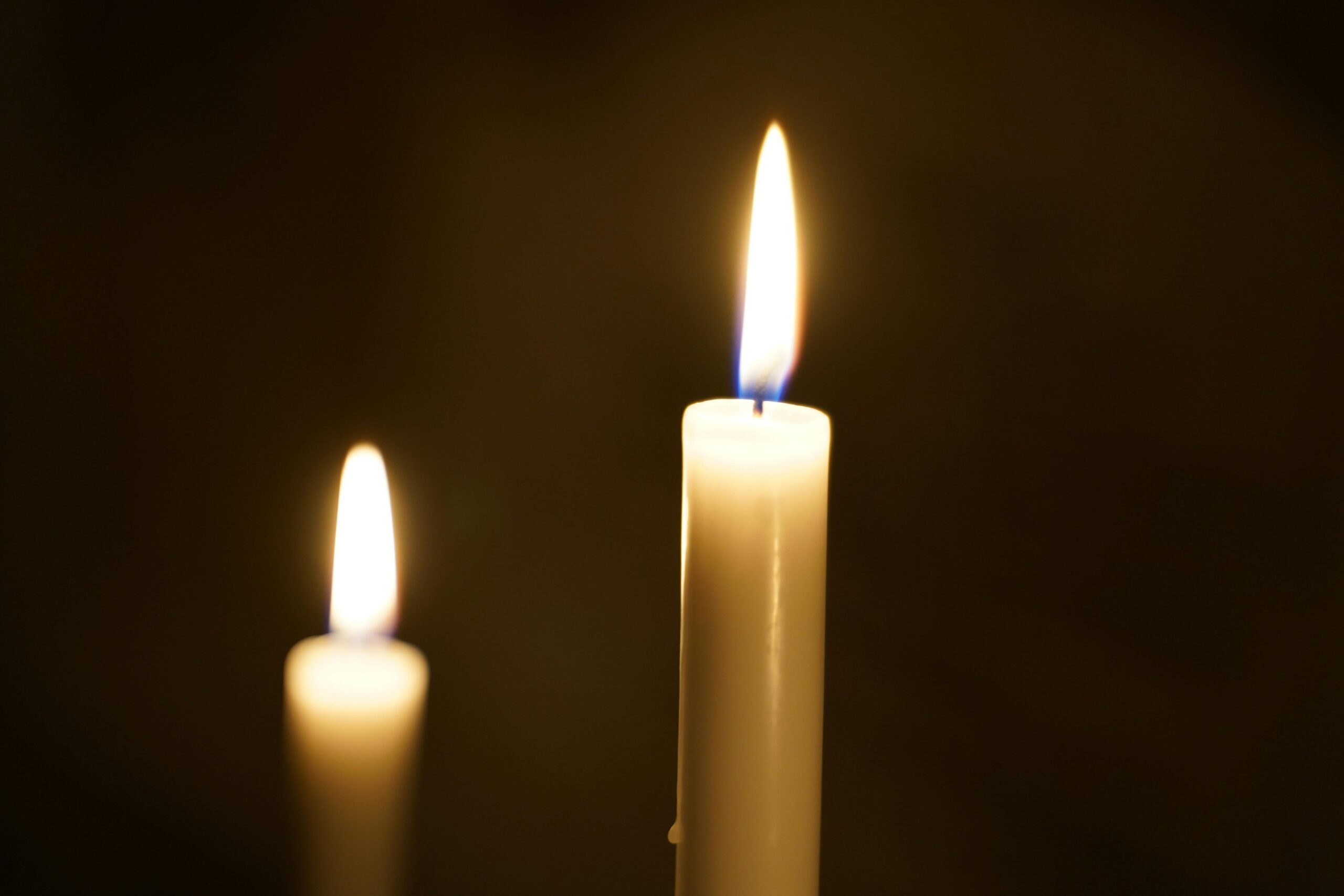 The Quiet Magic of Lightli Candles: Simple Light for a Life