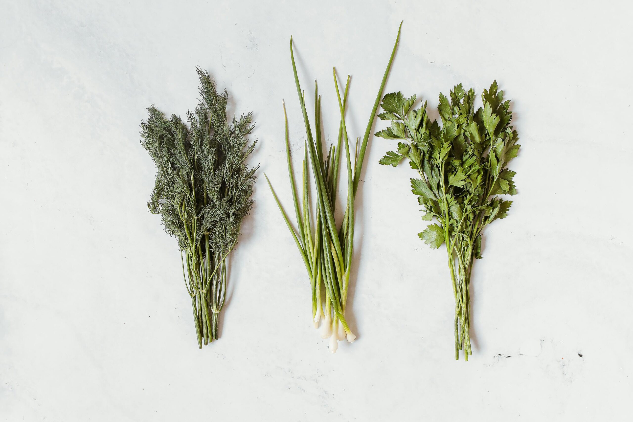 Rosemary, Sage & Thyme: Your Simple Guide to Flavor