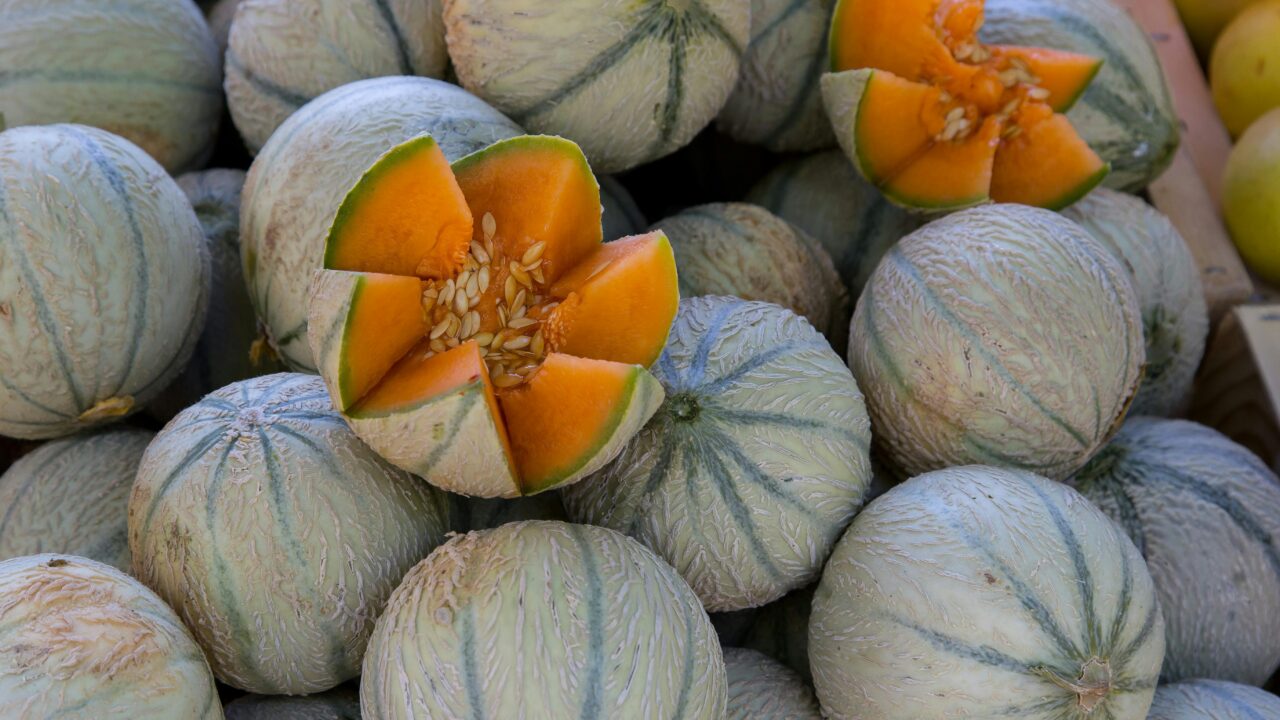 Sweet & Simple: Your Guide to Loving My Cantaloupe